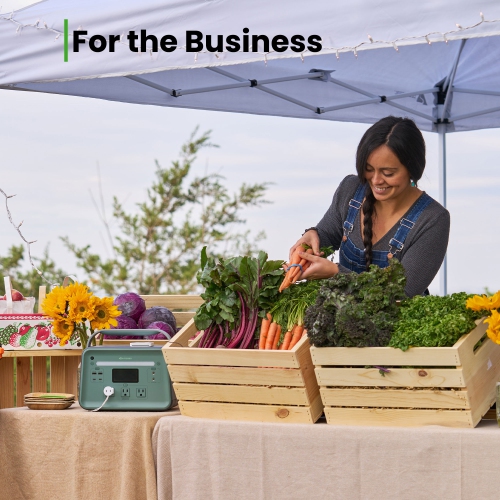 Yoshino K6SP11 9-Port Solid-State Solar Generator 602Wh, 660W with 1-Piece Solar Panel Emergency Power, Pure Sine Wave, Smart App Connect