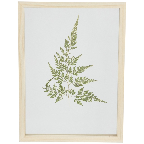 Artificial Fern Leaf Wooden Framed Wall Art - 11.75"