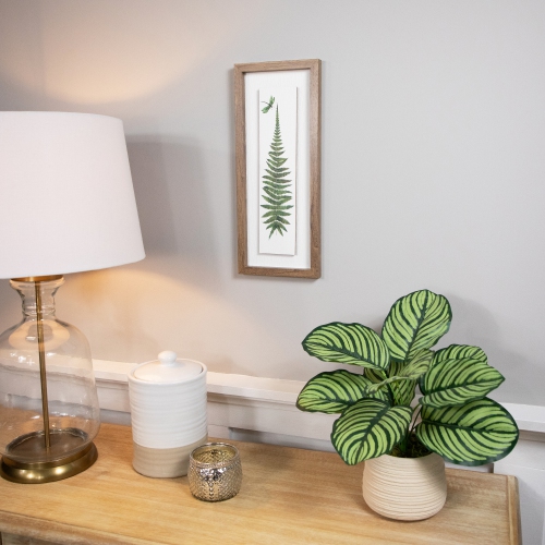 Fern Leaf with Dragonfly Framed Wall Art - 15.75"