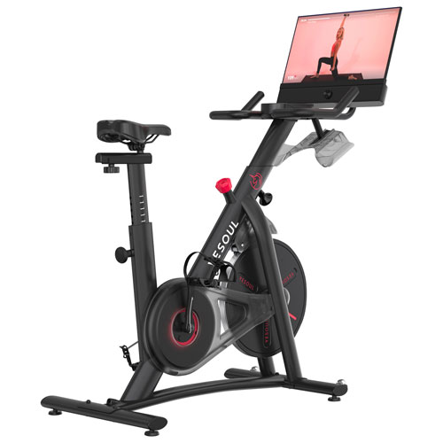 Yesoul G1M PLUS Exercise Bike | Best Buy Canada