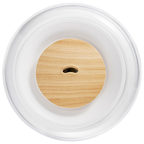 Humidificateur ultrasonique à vapeur froide Total Comfort Deluxe de Homedics