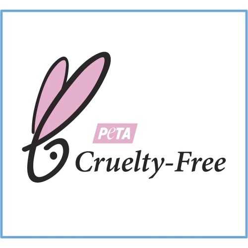 Adaptateur USB à USB C - Paquet de 3 | Convertisseur de chargeur femelle de type C vers USB A mâle pour Apple iWatch, iPhone 12/13/14/15, CarPlay,