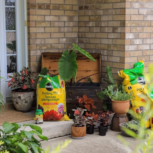 Miracle-Gro Potting Mix 8.8L | Indoor & Outdoor Gardening Soil | Nutrient-Rich Blend