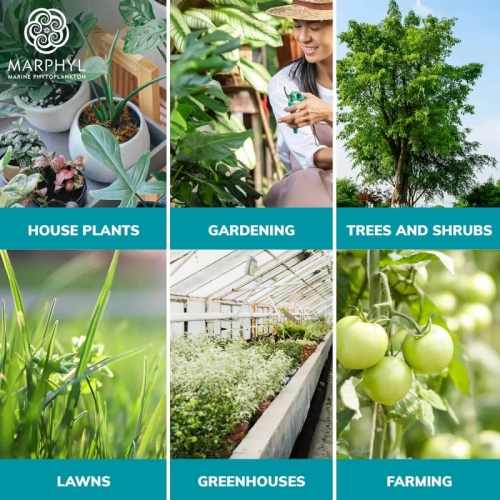 Organic Liquid Fertilizer for Indoor & Outdoor Plants - All-Purpose Nutrient-Rich Plant Food - Soil Enhancer for Garden, Flowers, Vegetables,