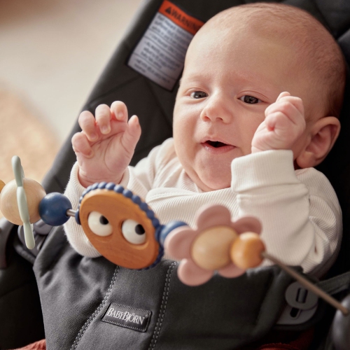 BabyBjorn Toy for Bouncers - Googly Eyes Pastels