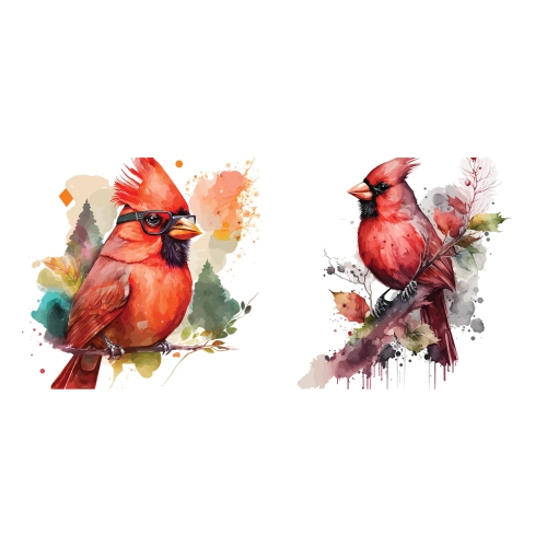 Maison Concepts Swedish Dish Cloth Funky Bird Set of 2