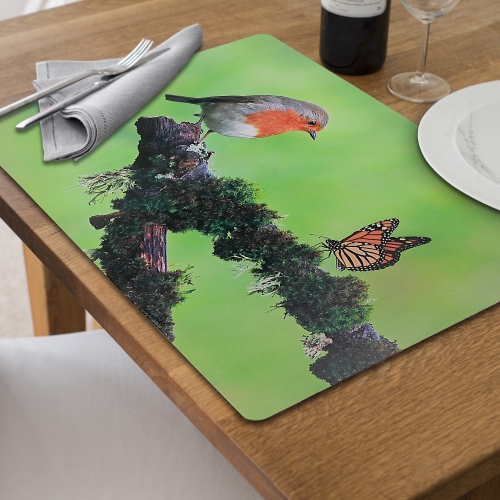 Maison concepts Napperon en plastique Robin et Monarch 12 x 18 - Ensemble de 12