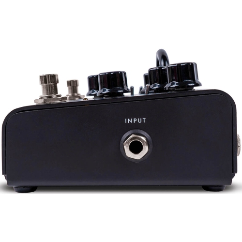 Blackstar Amplification Dept 10 Dual Distortion