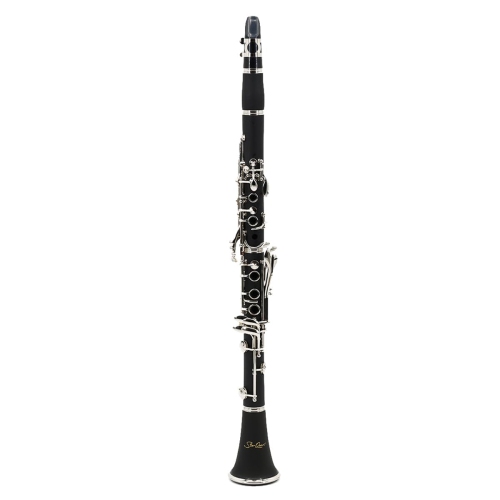 StarQuest Bb Clarinet Durable ABS Body with 17 Nickel-Plated Keys, Ideal for Beginners to Experienced Musicians, Hardened Case and Reed Included