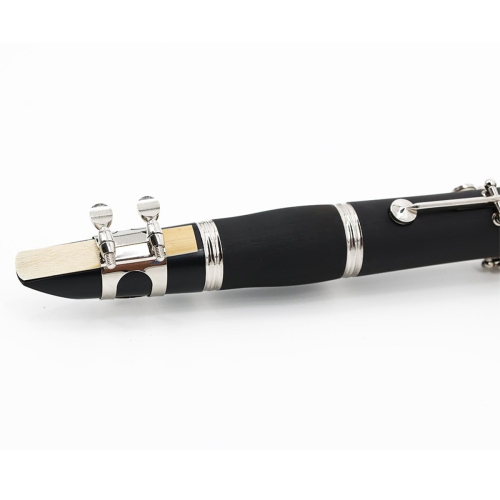 StarQuest Bb Clarinet Durable ABS Body with 17 Nickel-Plated Keys, Ideal for Beginners to Experienced Musicians, Hardened Case and Reed Included