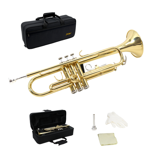 StarQuest BB Trumpet .460” Bore valves nickelées de haute précision, idéales pour les étudiants et les musiciens expérimentés, avec boîtier rigide et