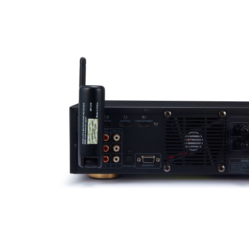 NOUVEAU système de microphones sans fil WH-210 de BMB