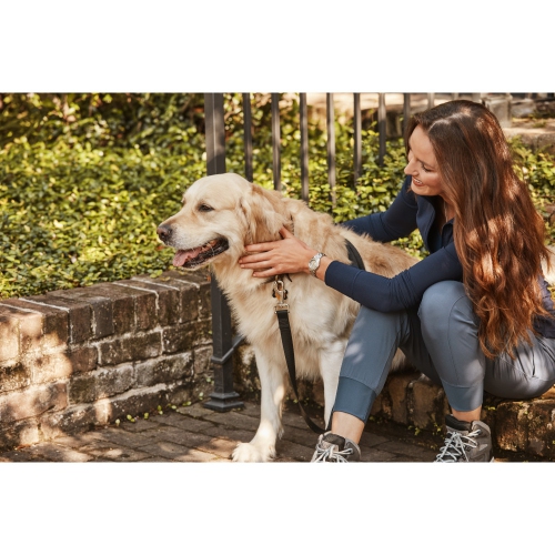 Montre pour femmes Corso Eco-Drive 28&nbsp;mm avec boîtier et bracelet en acier inoxydable argenté et cadran taupe de Citizen