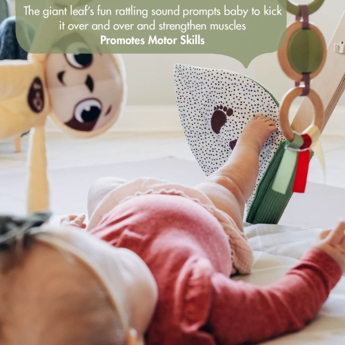 Tiny Love Boho Chic Luxe Developmental Gymini