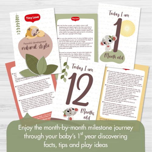 Tiny Love Boho Chic Luxe Developmental Gymini