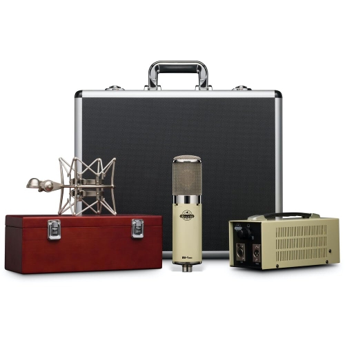 Avantone Pro BV1-MKII Large-diaphragm Tube Condenser Microphone