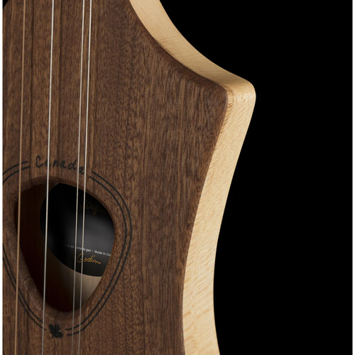 Guitare acoustique M4 de Seagull - Acajou