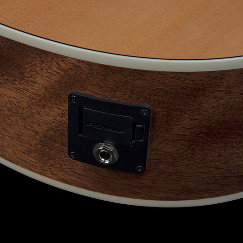 Art & Lutherie Roadhouse Acoustic Guitar - Natural EQ