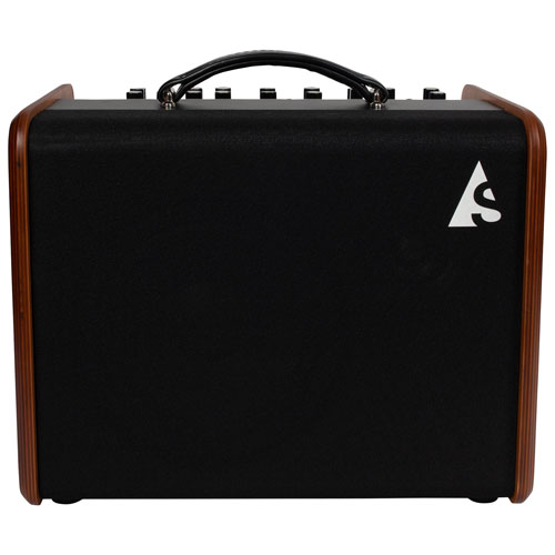 Amplificateur combiné de guitare acoustique de 120 W avec haut-parleur d'aigus de Godin Acousitc Solutions - Noir