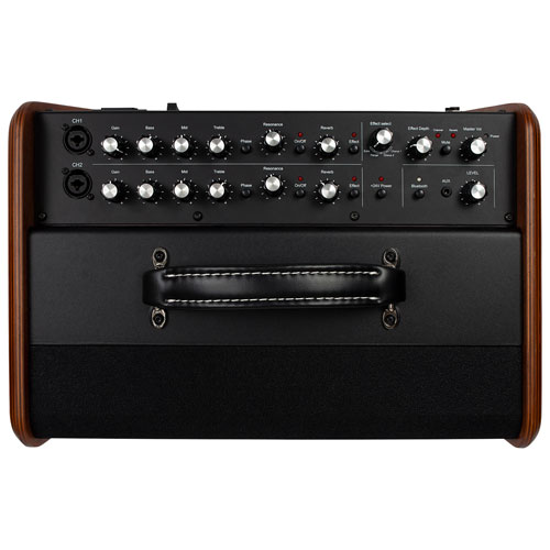 Amplificateur combiné de guitare acoustique de 120 W avec haut-parleur d'aigus de Godin Acousitc Solutions - Noir