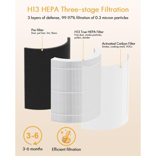 Filtre de rechange pour purificateur d'air B-D02U, filtre de purificateur d'air HEPA véritable VEWIOR H13