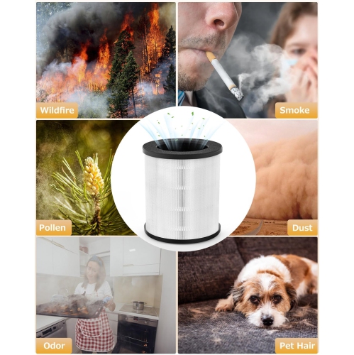 Filtre de rechange pour purificateur d'air B-D02U, filtre de purificateur d'air HEPA véritable VEWIOR H13