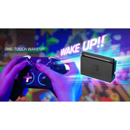 Flashfire SwingPad Bluetooth Gaming Controller for PC and Nintendo Switch|Haptic Feedback and Built-in Motion Sensor|RGB Lighting |Up to 10h of