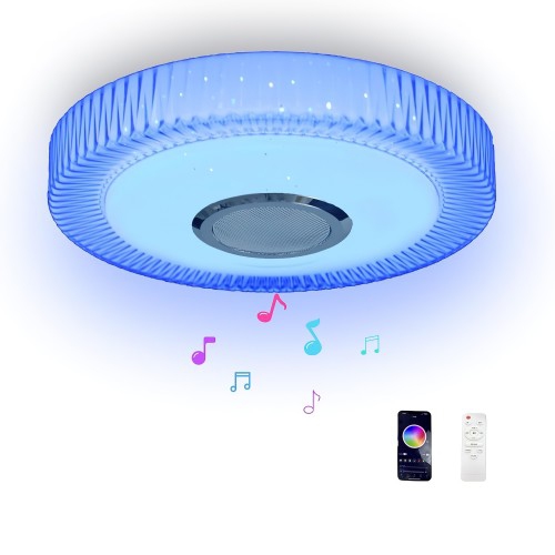 TOYTEXX  Exhourme Ceiling Light, Flush Mount Ceiling Light With Bluetooth Speaker, RGB Color Change, App + Remote Control for Home, Bedroom, Bathroom