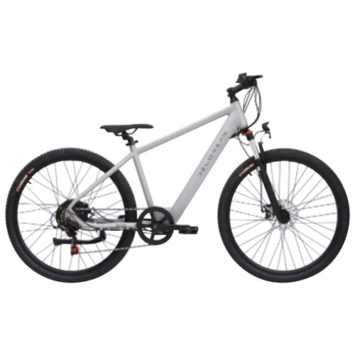 Vélo électrique de 350 W DM100 de Gyrocopters - Gris