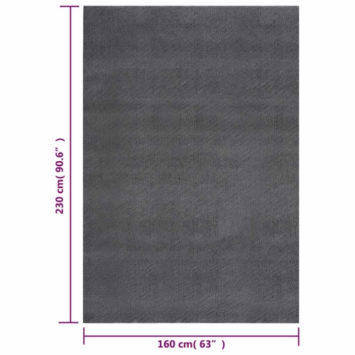 vidaXL 5x7.5 Feet Indoor Shaggy Rugs Modern Plush Area Rugs with Anti-Slip Backing Anthracite