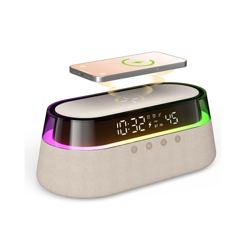 Dual Alarm Clock | Best Buy Canada