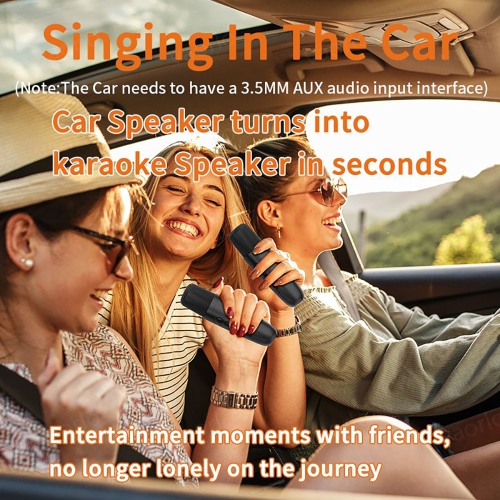 axGear Wireless Karaoke Companion Machine Bluetooth Mic KTV DSP Mixer Amplifier