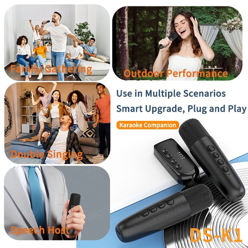 axGear Wireless Karaoke Companion Machine Bluetooth Mic KTV DSP Mixer Amplifier