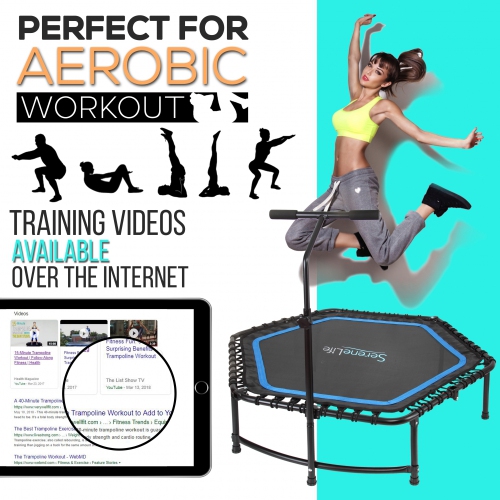 Pro Aerobics Fitness Trampoline - Portable Gym Sports Trampoline with Adjustable Handrail