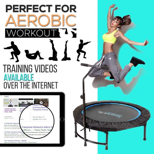 Pro Aerobics Fitness Trampoline - Portable Gym Sports Trampoline with Adjustable Handrail