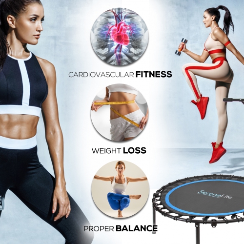 Pro Aerobics Fitness Trampoline - Portable Gym Sports Trampoline with Adjustable Handrail