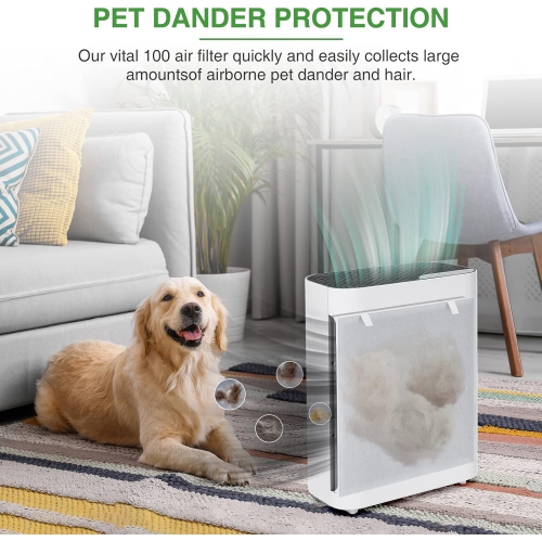 2 Pack Vital 100 True HEPA Replacement Filter Compatible with LEVOIT Vital 100 Air Purifier, 3-in-1 H13 Ture HEPA and High-Efficiency Activated