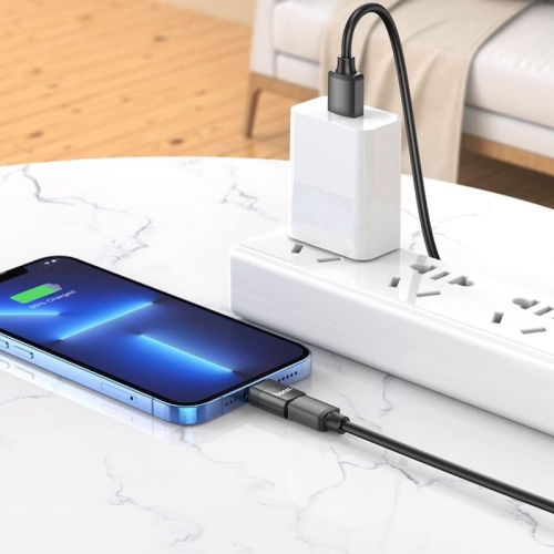Adaptateur convertisseur Lightning mâle vers USB-C femelle