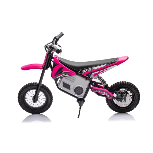 2024 36V Electric Dirt Bike For Teens 350W Powerful Silent Motor