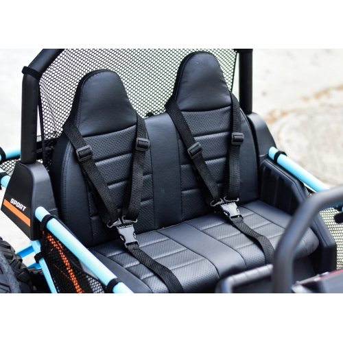 2024 The Owl Luxurious 12V Two Seater 4WD Dune Buggy Kids Ride On Car With RC