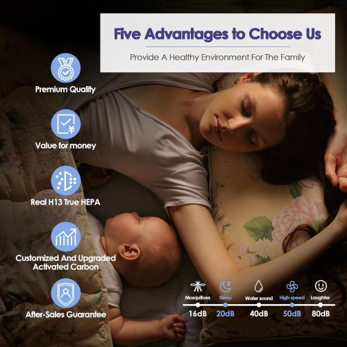 Filtre Core 300 compatible avec le filtre de rechange LEVOIT pour purificateur d'air Core 300-RF, Core 300 300S P350, Core300-RF P350-RF 300-RF-TX