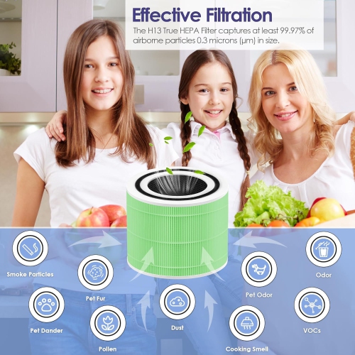 Filtre absorbant à toxines Core 300 compatible avec le purificateur d'air LEVOIT Core 300-RF-TX, purificateur d'air Core 300 300S P350 avec Core