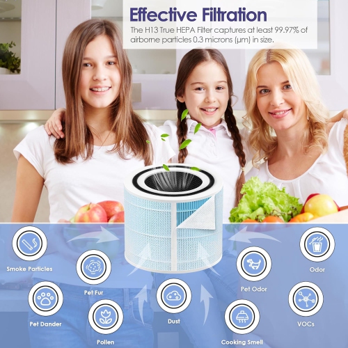 Filtre de rechange pour purificateur d'air LEVOIT Core 300, Core 300 et Core 300S VortexAir avec filtre True HEPA Core 300-RF H13, paq./4