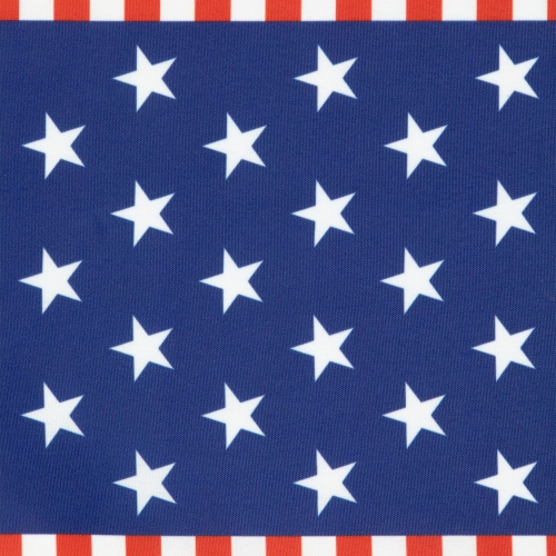 Set of 4 Stars and Stripes Americana Printed Placemats 18"