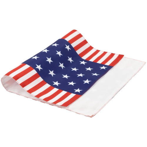 Set of 4 Stars and Stripes Americana Printed Placemats 18"