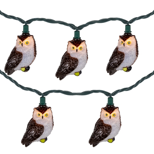 Owl Indoor Outdoor Patio Light Set - 6' - Green Wire - 10ct