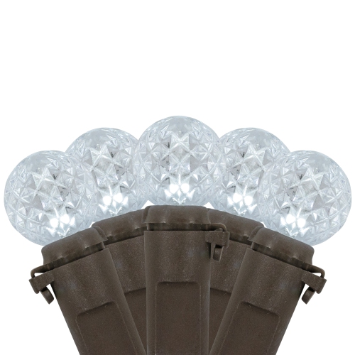 NORTHLIGHT  Led G12 Berry Christmas Lights - Pure - 16' Brown Wire - 50Ct In White