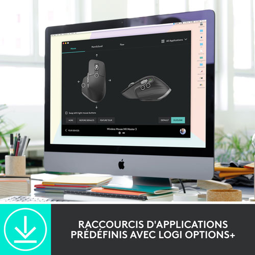 Souris sans fil Bluetooth MX Master 3S pour entreprise de Logitech - Graphite