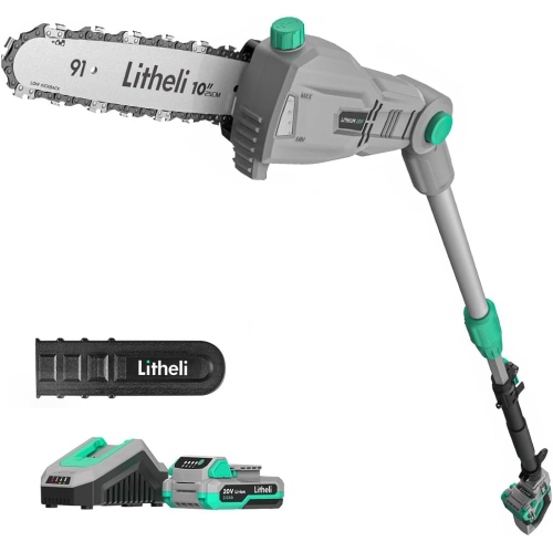Litheli Cordless Pole Saw 10-Inch, 20V Battery-Powered Pole Saws for Tree Trimming,with 2.0Ah Battery & Charger