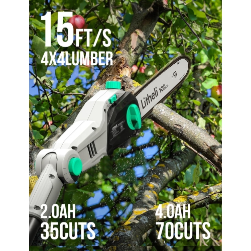 Litheli Cordless Pole Saw 10-Inch, 20V Battery-Powered Pole Saws for Tree Trimming,with 2.0Ah Battery & Charger